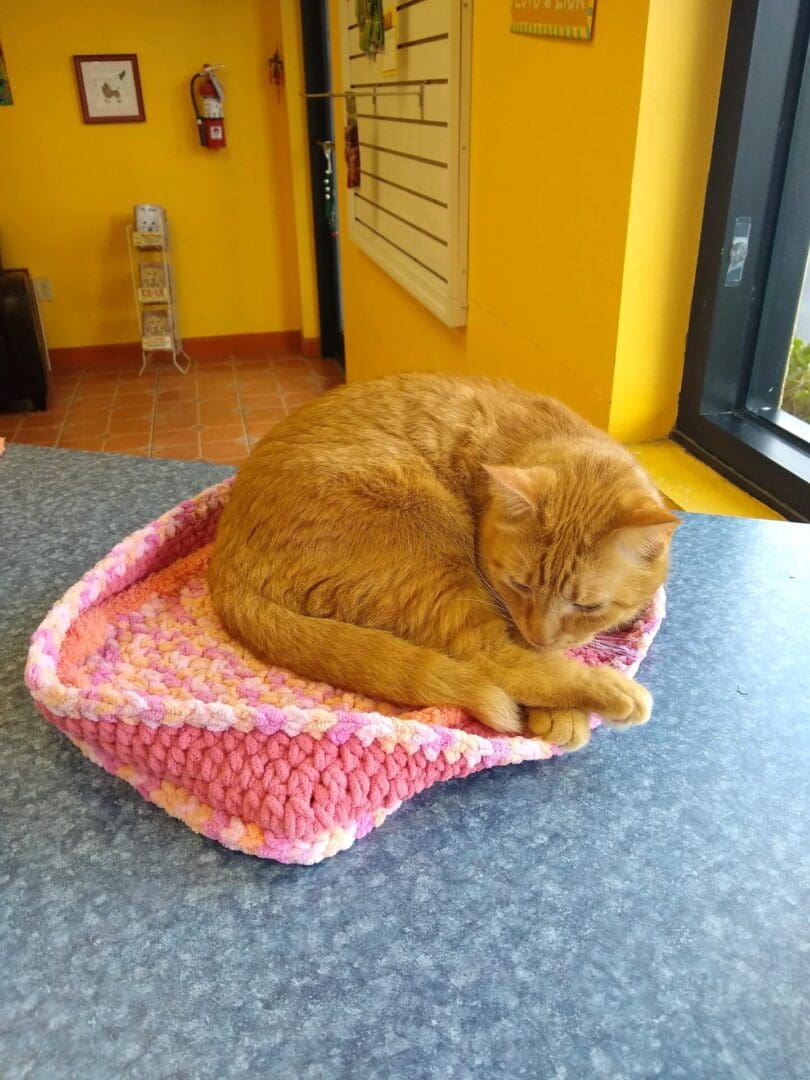 A cat laying on top of a pink crocheted bed.