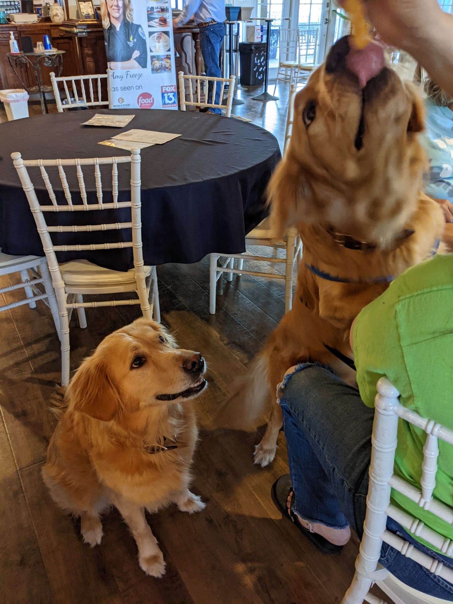 Two dogs sitting on a chair in front of tables.