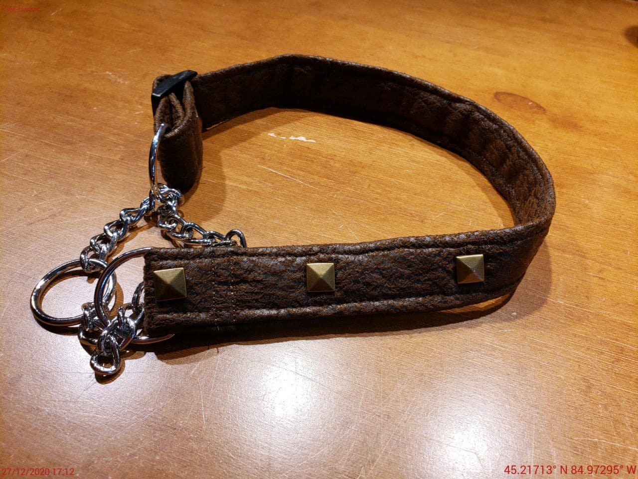 A brown leather dog collar with gold studs and chain.