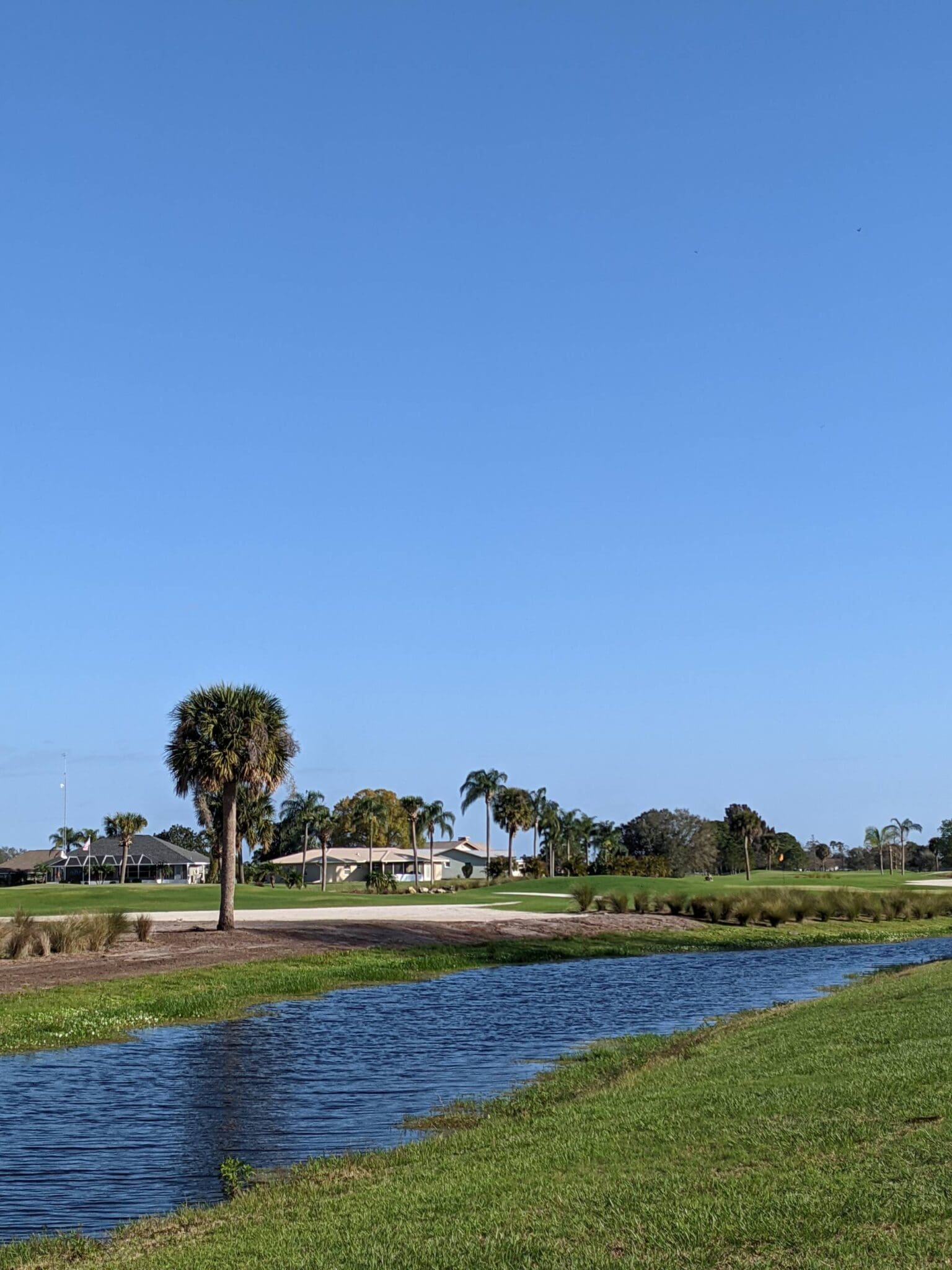 A view of a golf course with trees and water.