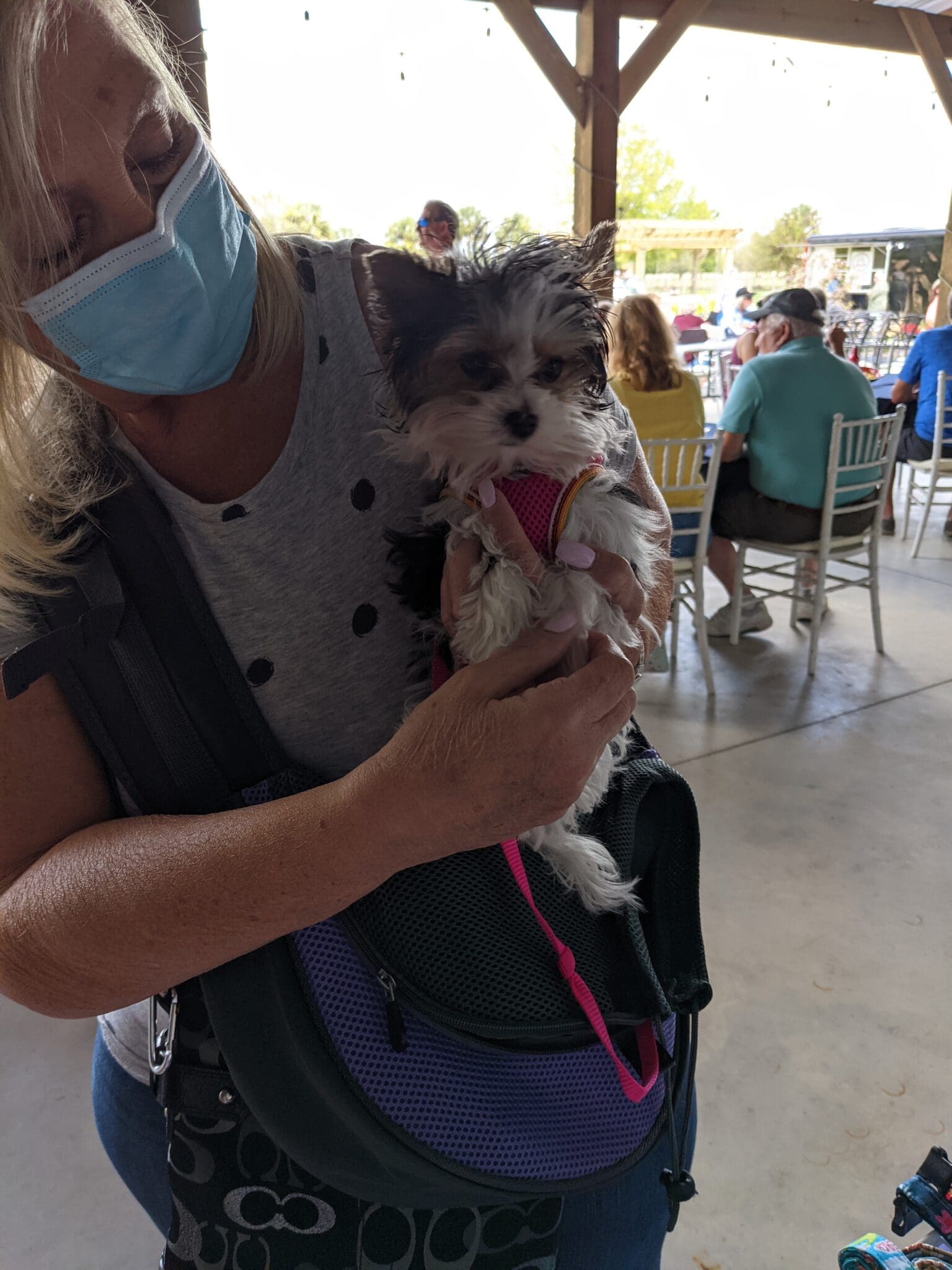 A woman holding a small dog in her arms.