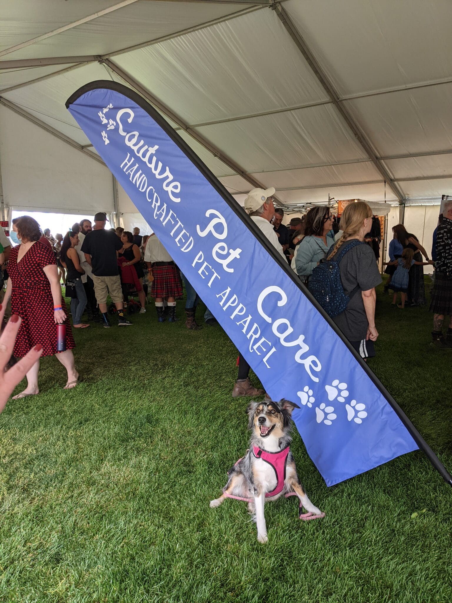 A dog is standing under an umbrella in the grass.