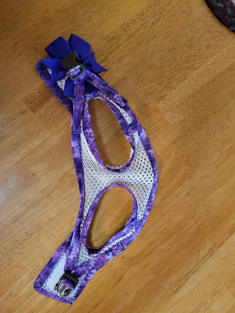 A purple and white mask laying on the floor.