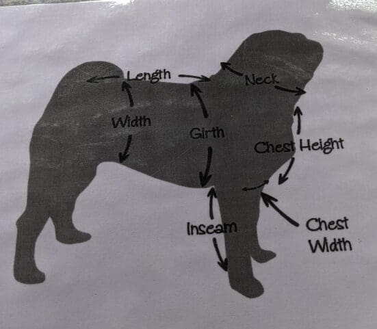 A drawing of a dog with the names and measurements labeled.