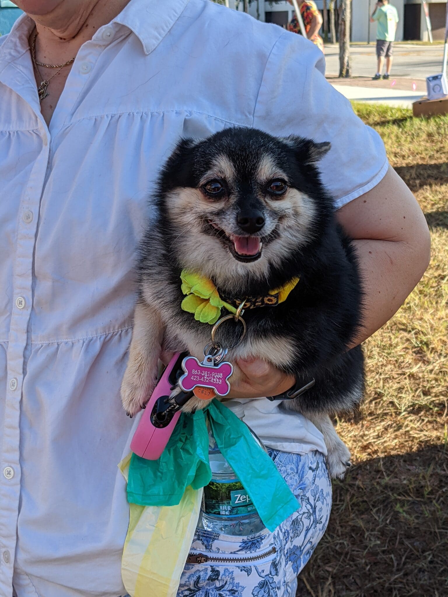 A dog is held in someones arms outside.