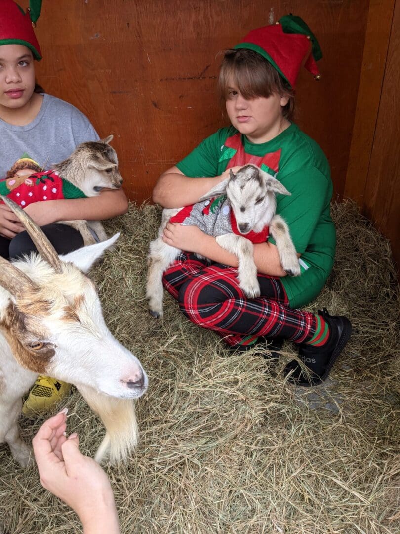 A group of people sitting around goats in hay.