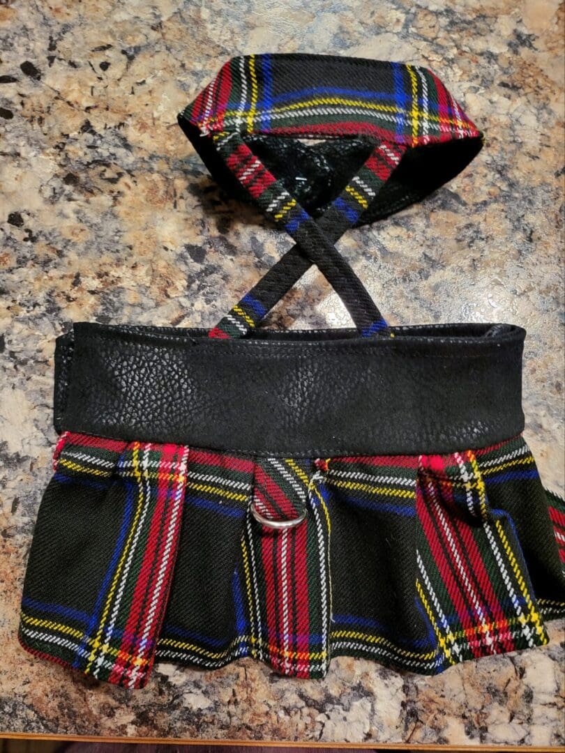 A dog 's harness and skirt on the floor